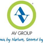 AV-Group_logo_big-02-e1555489737685-1024x803